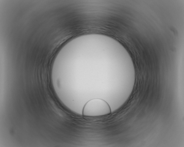 X0000113350360200909151031