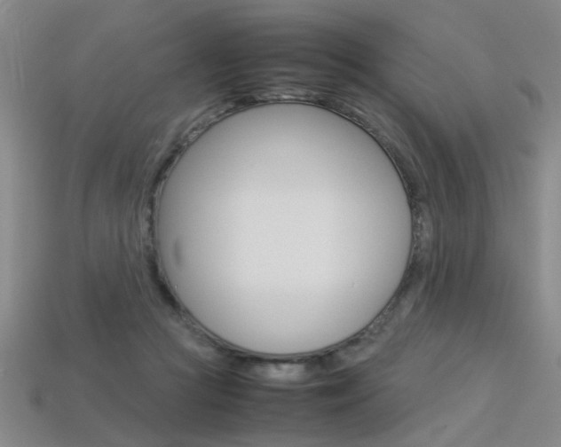 X0000113350361200909151031