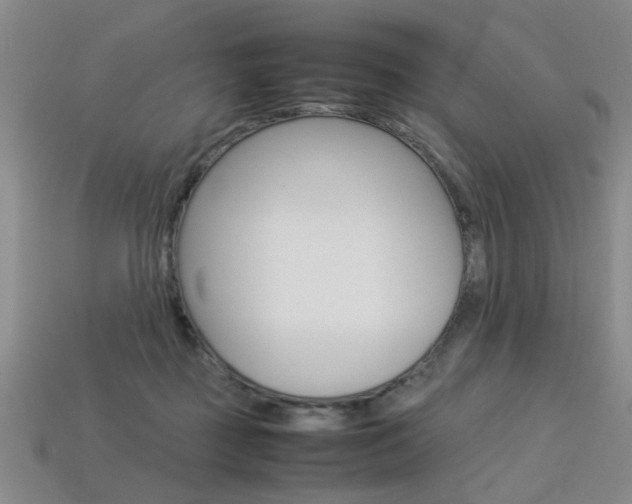 X0000113350363200909151031