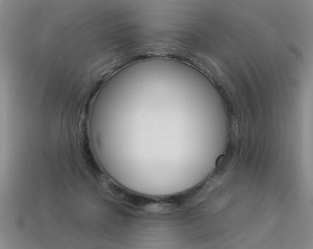 X0000113350364200909151031
