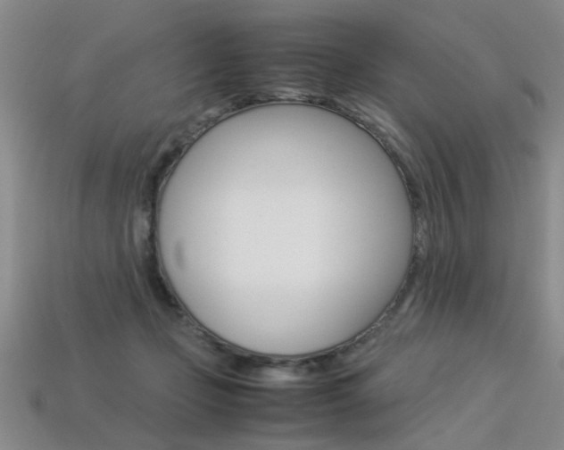 X0000113350365200909151031