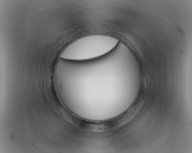 X0000113350366200909151031