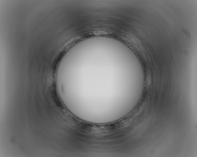 X0000113350367200909151031