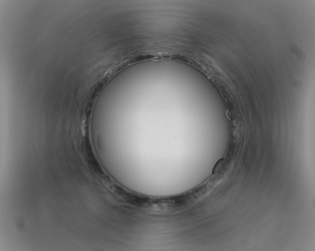 X0000113350368200909151031