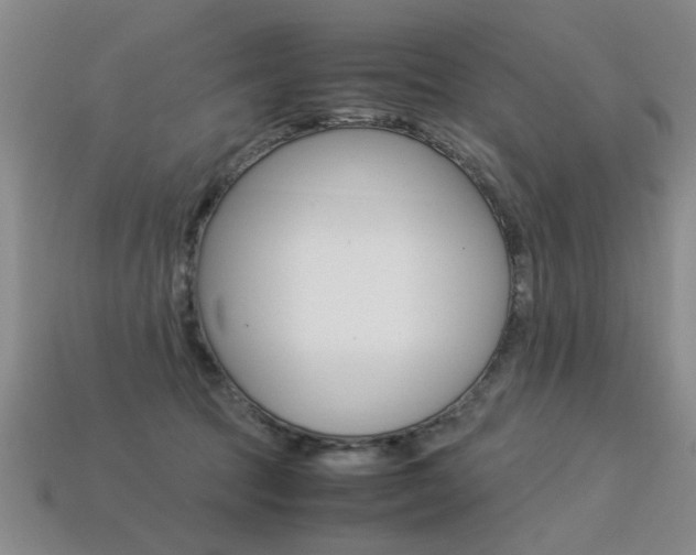 X0000113350369200909151031