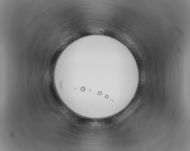 X0000113350370200909151031