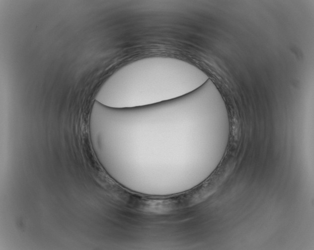 X0000113350371200909151031
