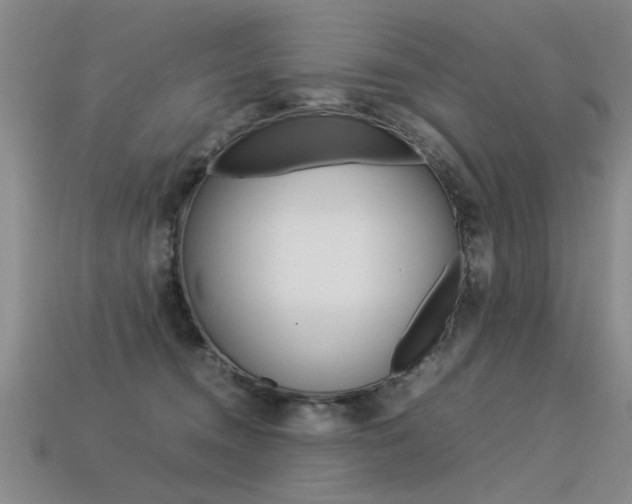 X0000113350372200909151031