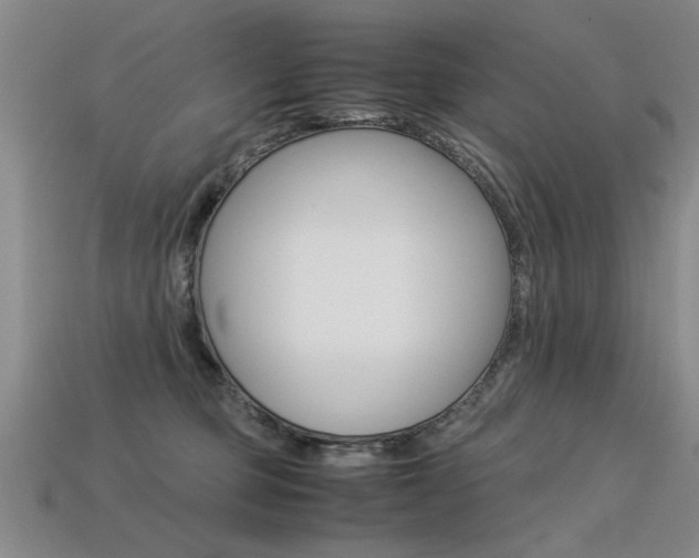 X0000113350373200909151031