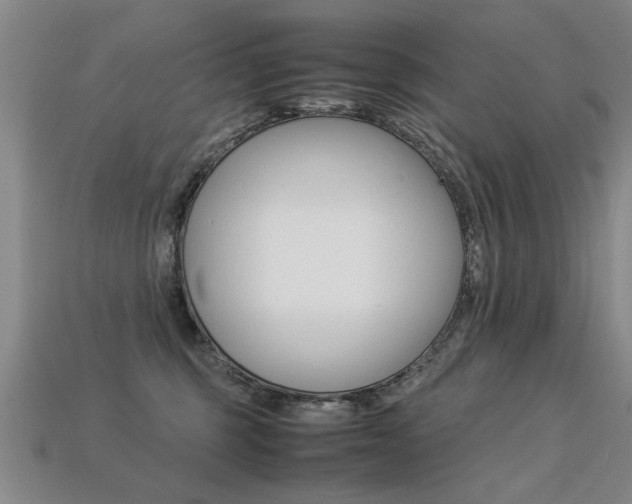 X0000113350375200909151031