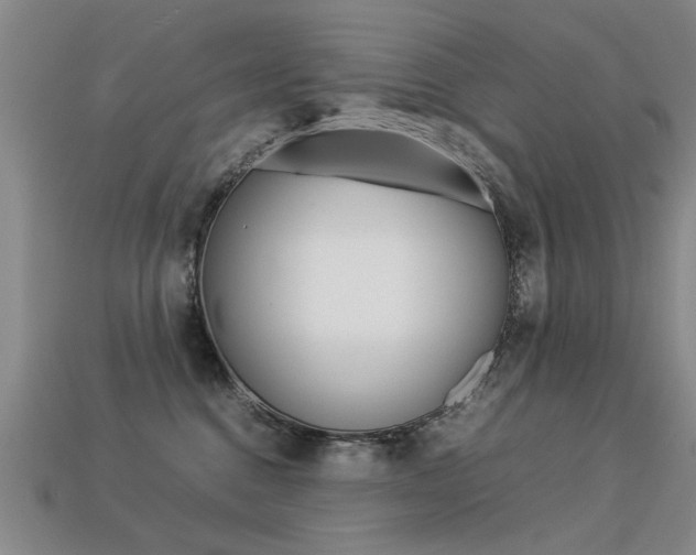 X0000113350376200909151031