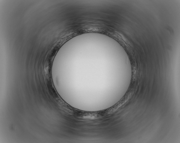 X0000113350377200909151031