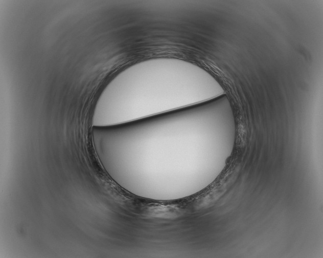X0000113350379200909151031