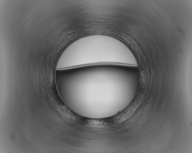 X0000113350380200909151031