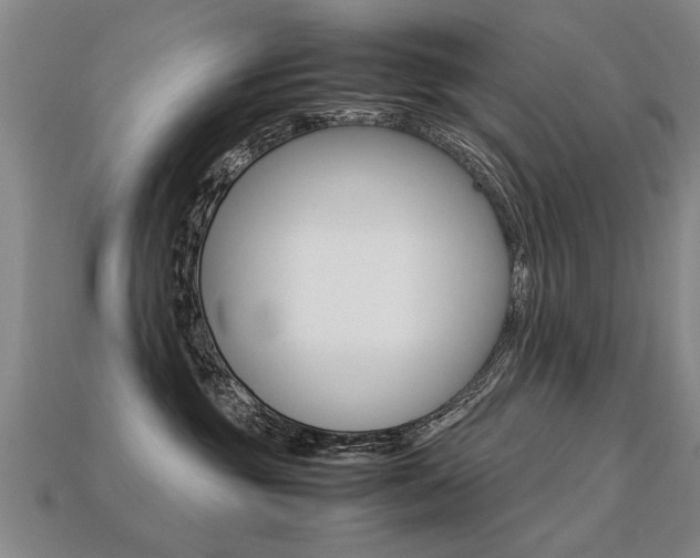 X0000113350381200909151031