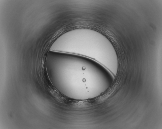 X0000113350382200909151031