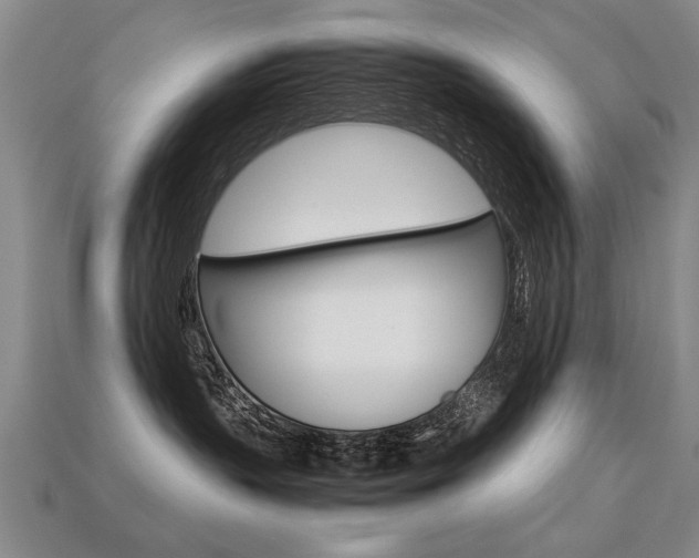 X0000113350383200909151031
