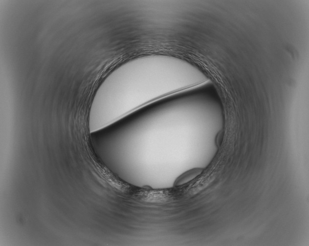 X0000113350384200909151031