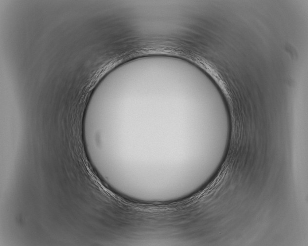 X0000113350385200909151030