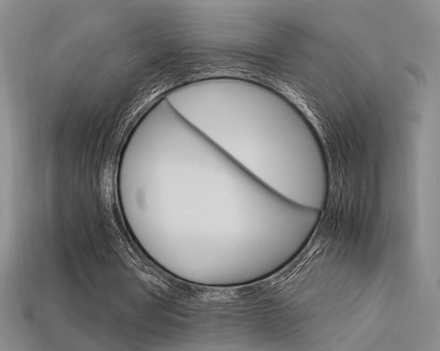 X0000113350386200909151030