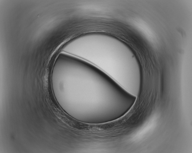 X0000113350387200909151030
