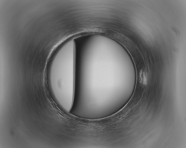 X0000113350388200909151030