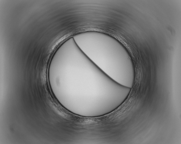 X0000113350390200909151030