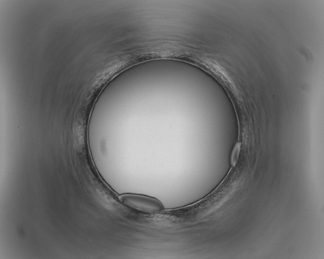 X0000113350393200909151030