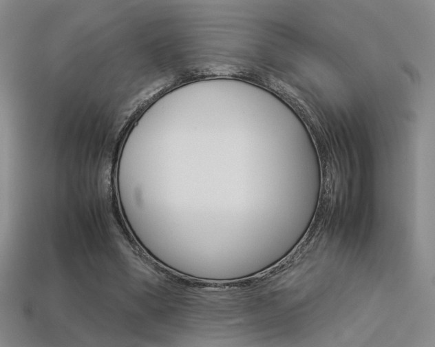 X0000113350394200909151030