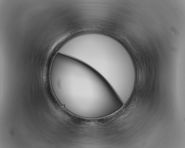 X0000113350396200909151030