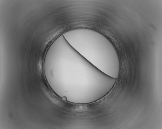 X0000113350398200909151030