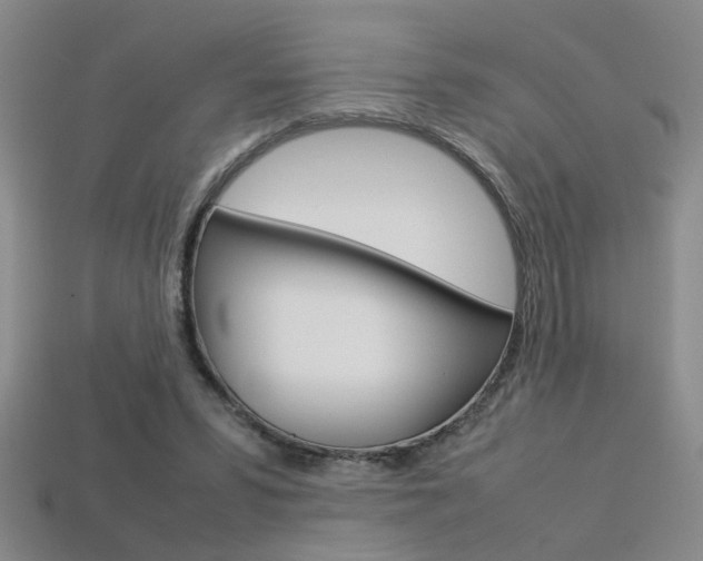 X0000113350399200909151030