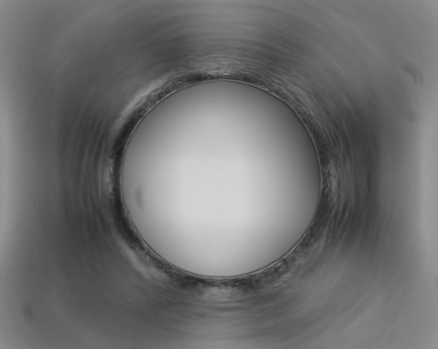 X0000113350400200909151030