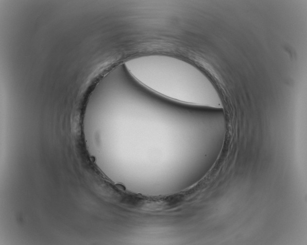X0000113350403200909151030