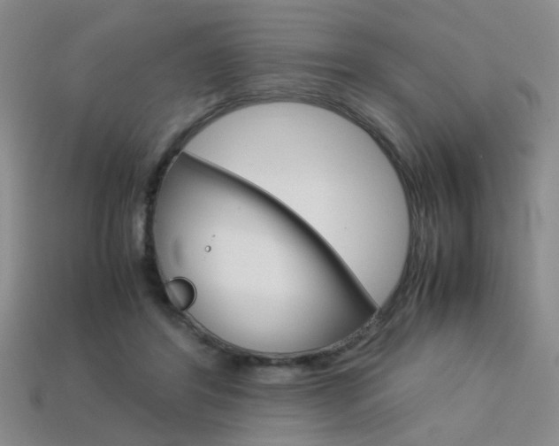 X0000113350404200909151030