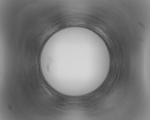 X0000113350405200909151030