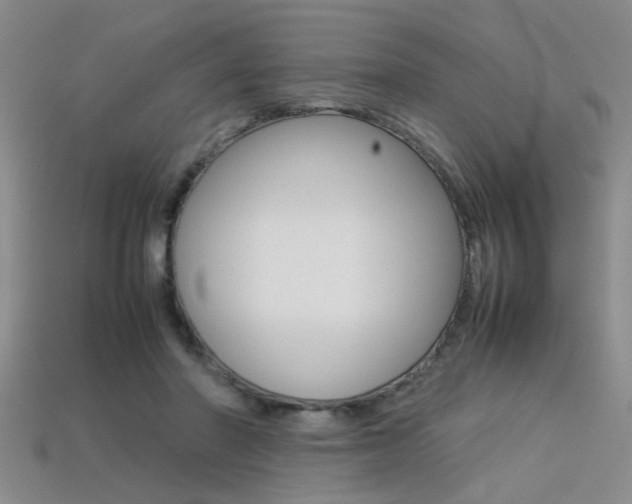 X0000113350406200909151030