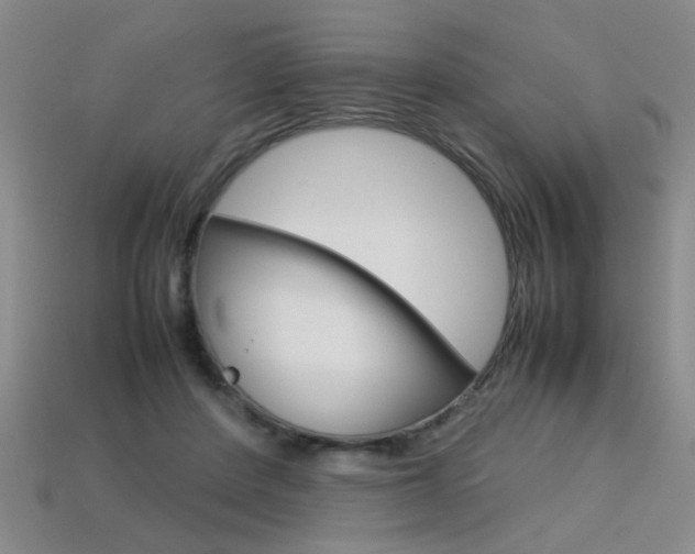 X0000113350408200909151030