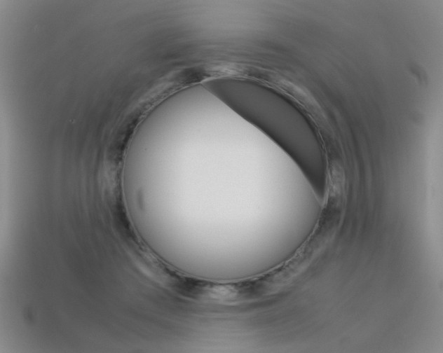 X0000113350409200909151030