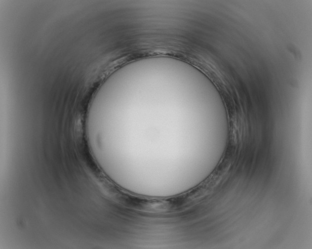 X0000113350410200909151030