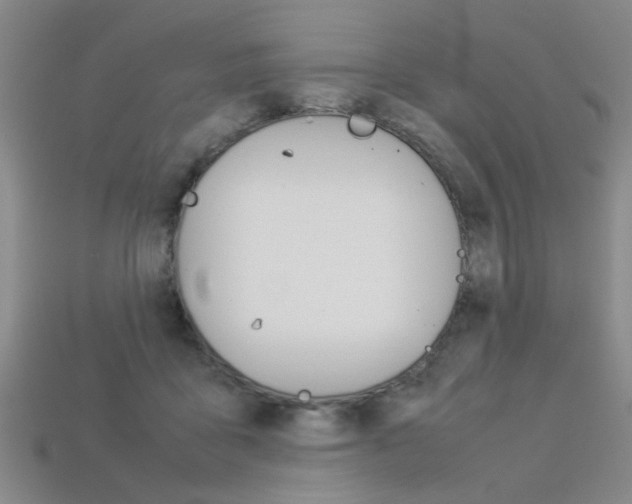X0000113350411200909151030