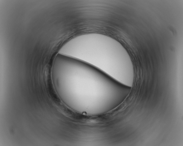 X0000113350412200909151030