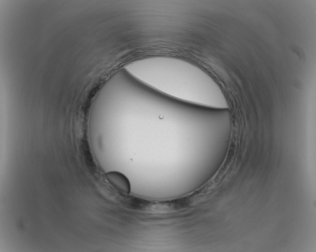 X0000113350413200909151030