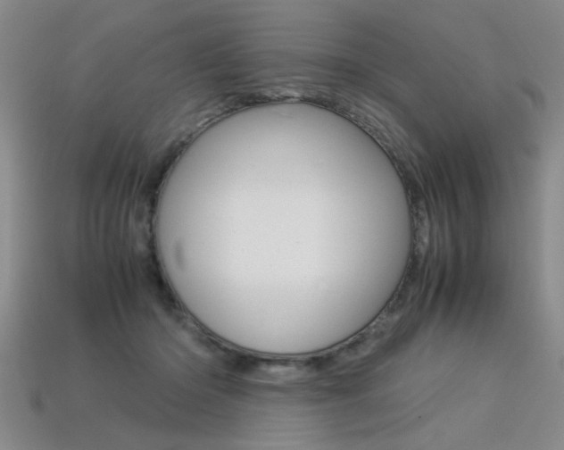 X0000113350414200909151030