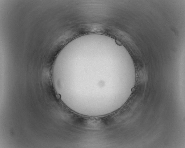 X0000113350415200909151030