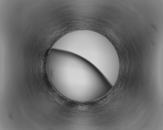 X0000113350416200909151030
