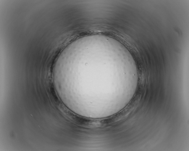 X0000113350418200909151030