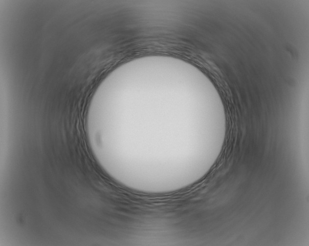 X0000113350419200909151030