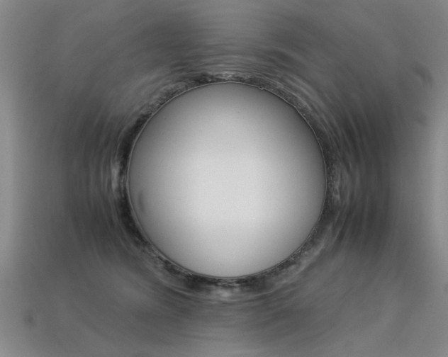 X0000113350420200909151030