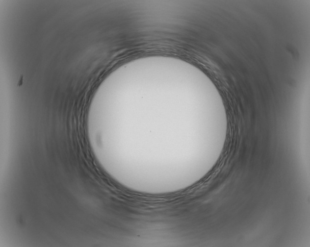 X0000113350421200909151030